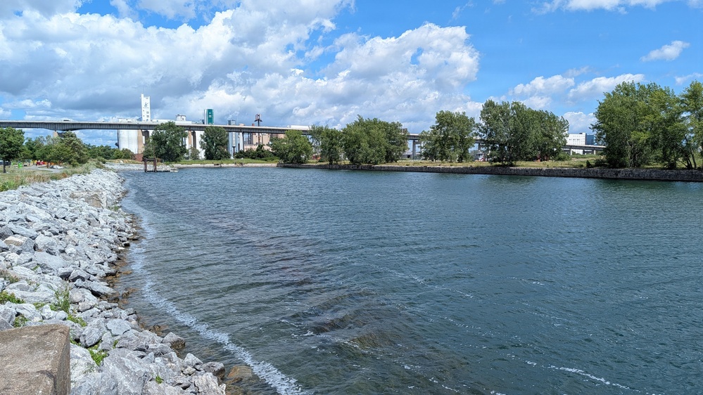 New USACE Buffalo District Commander Tours Outer Harbor Wetland Site