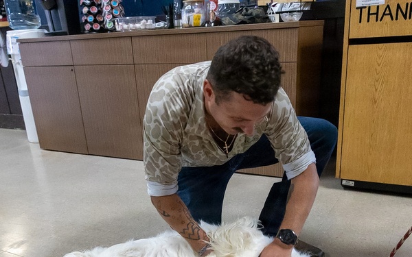 Fort Indiantown Gap USO hosts 'Cookout With a Canine'