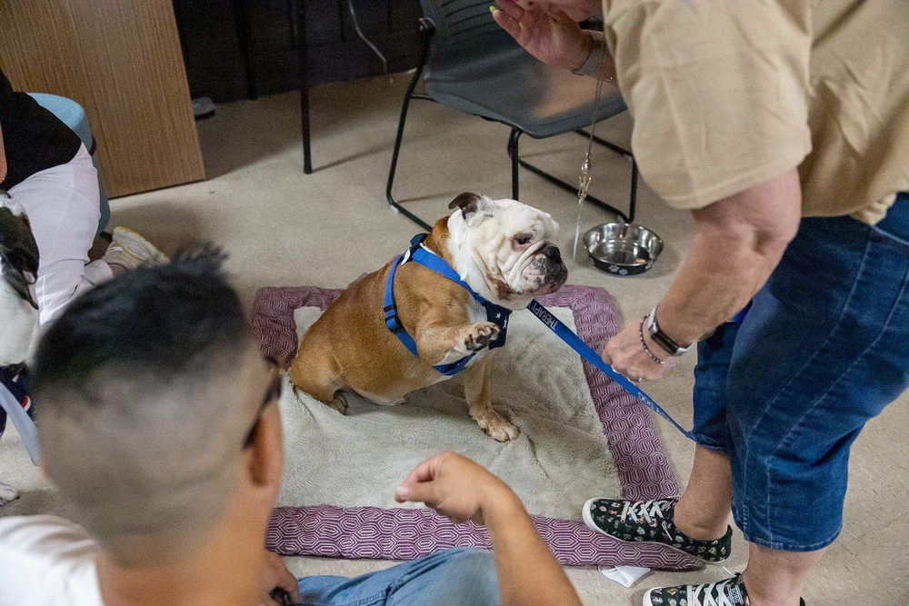 Fort Indiantown Gap USO hosts 'Cookout With a Canine'