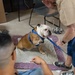 Fort Indiantown Gap USO hosts 'Cookout With a Canine'