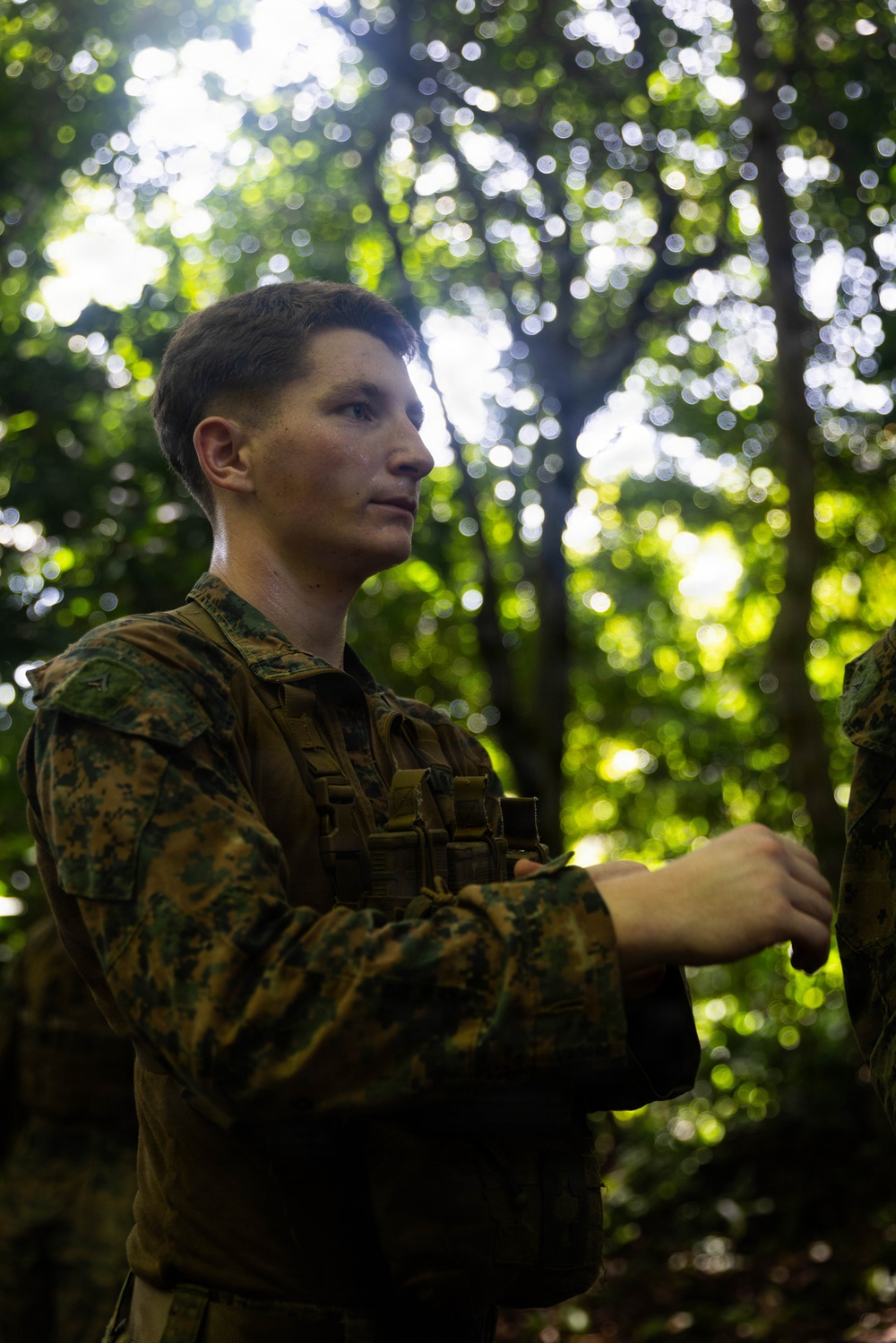 LCF-24: Run Through The Jungle, V32 JOTC-P