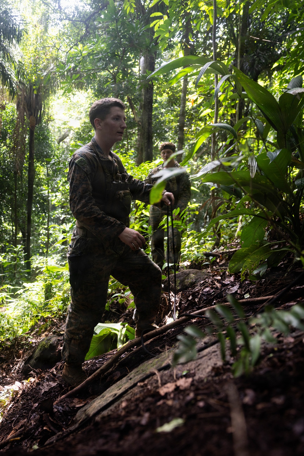 LCF-24: Run Through The Jungle, V32 JOTC-P