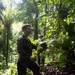 LCF-24: Run Through The Jungle, V32 JOTC-P