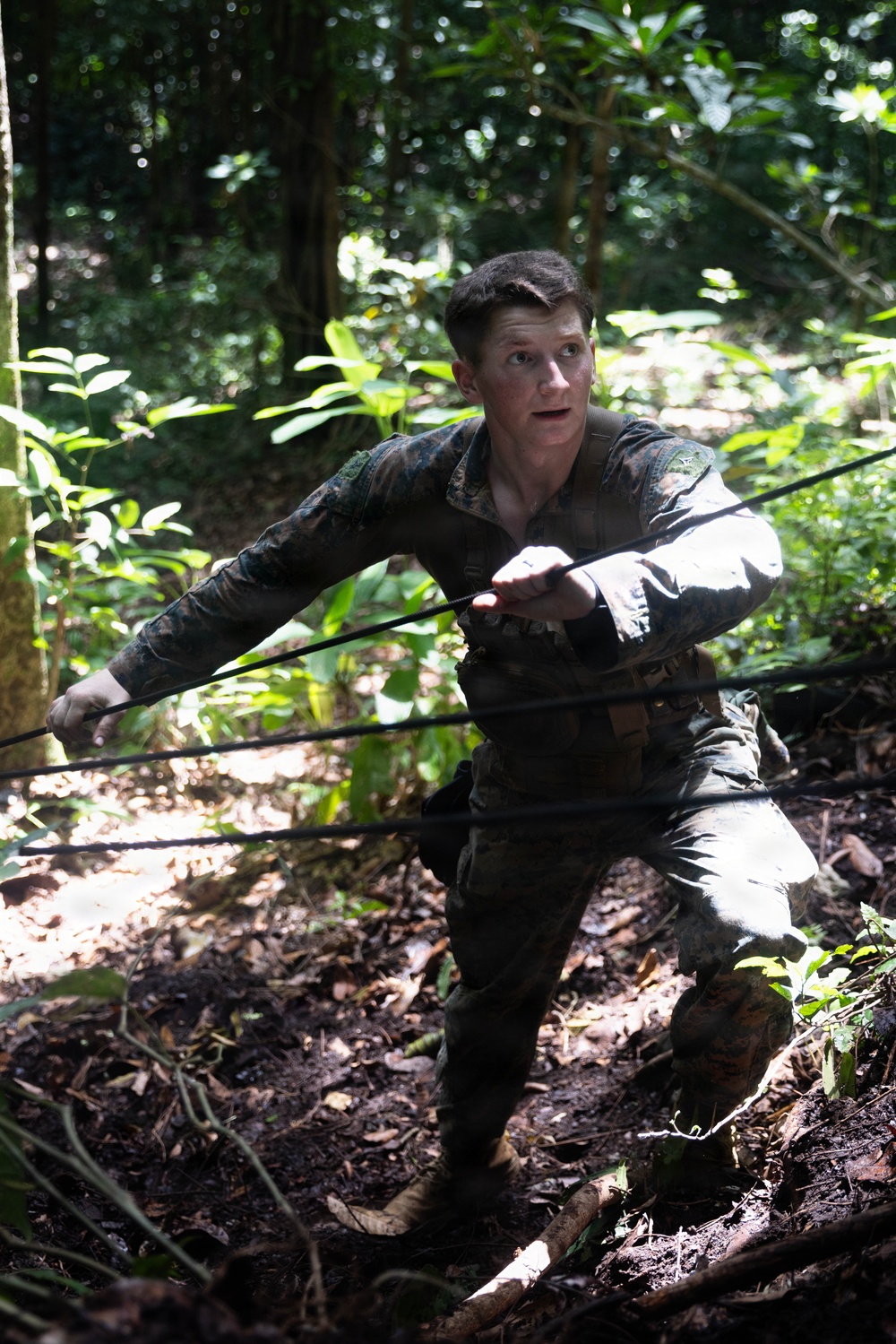 LCF-24: Run Through The Jungle, V32 JOTC-P