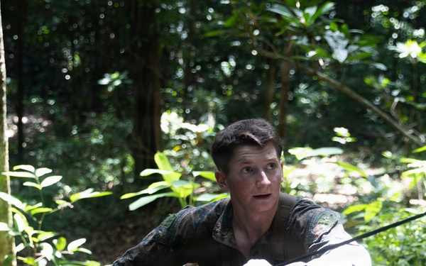 LCF-24: Run Through The Jungle, V32 JOTC-P