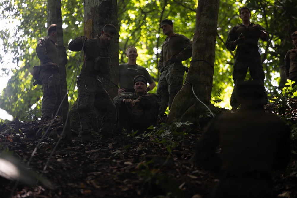 LCF-24: Run Through The Jungle, V32 JOTC-P