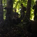 LCF-24: Run Through The Jungle, V32 JOTC-P