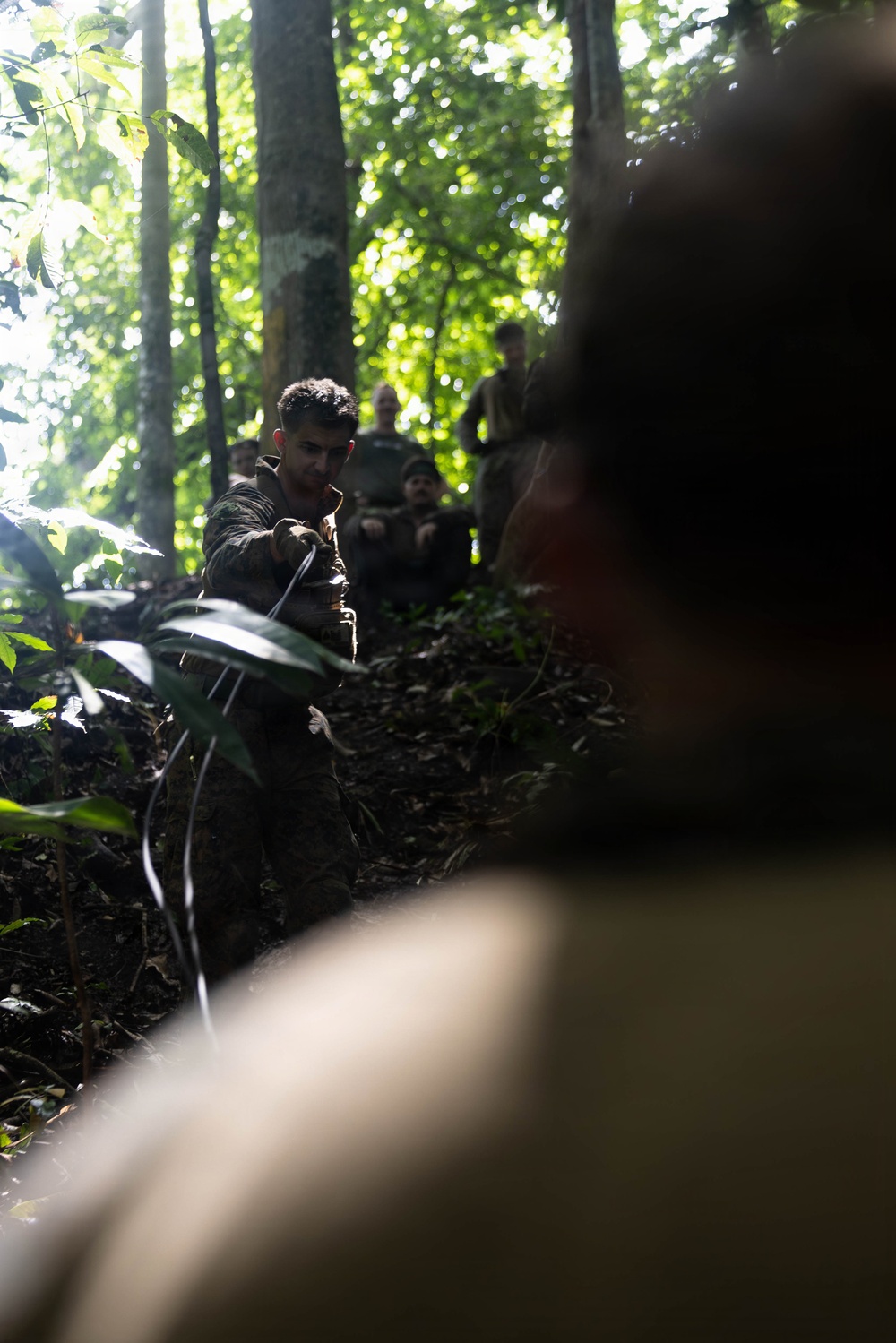 LCF-24: Run Through The Jungle, V32 JOTC-P