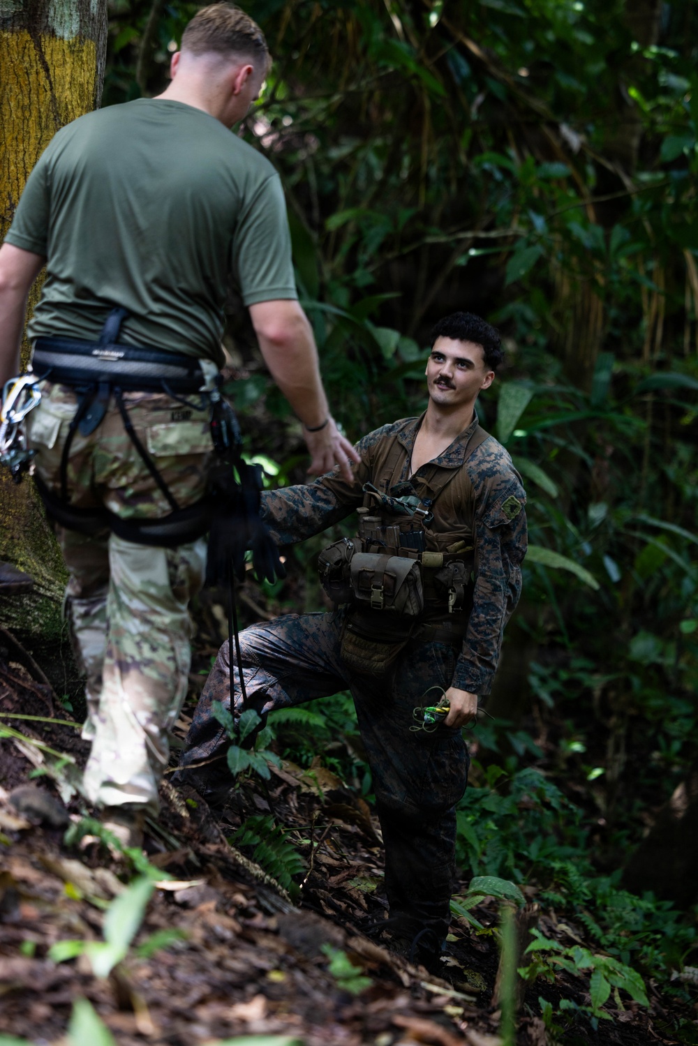 LCF-24: Run Through The Jungle, V32 JOTC-P