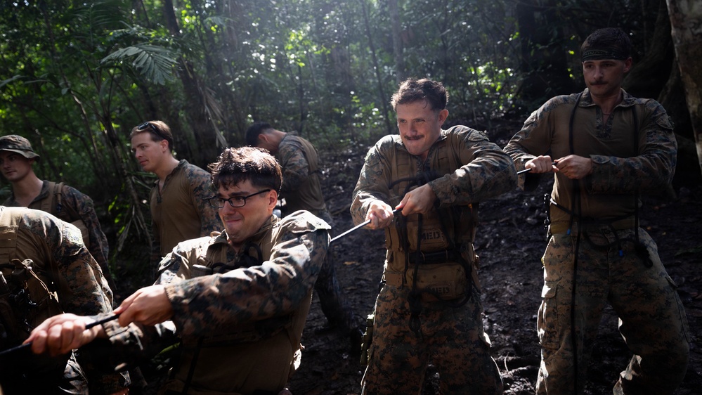 LCF-24: Run Through The Jungle, V32 JOTC-P