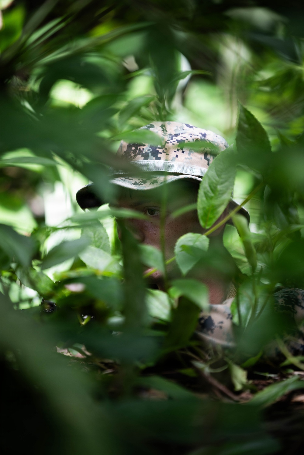 LCF-24: Run Through The Jungle, V32 JOTC-P