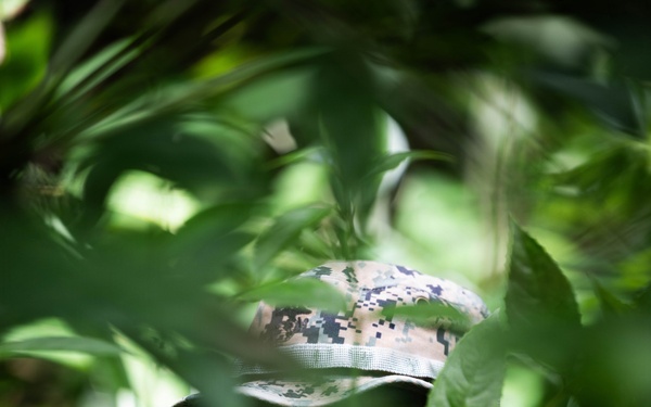 LCF-24: Run Through The Jungle, V32 JOTC-P