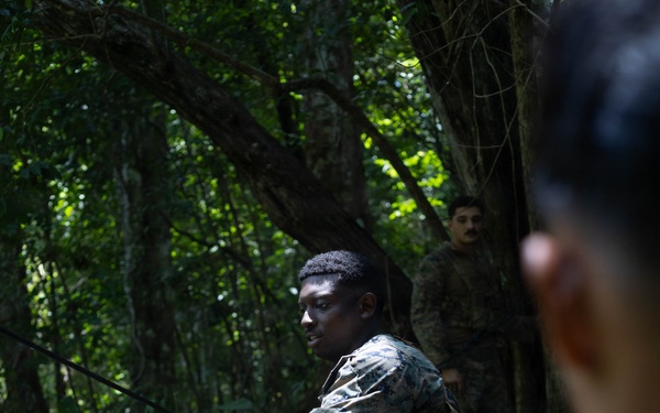 LCF-24: Run Through The Jungle, V32 JOTC-P