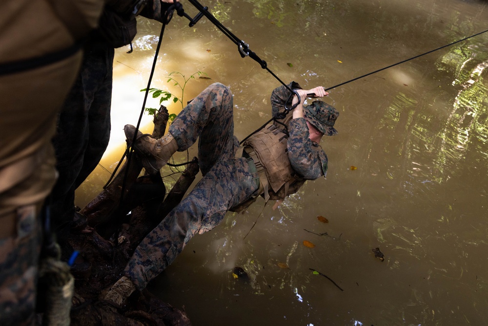 LCF-24: Run Through The Jungle, V32 JOTC-P