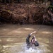LCF-24: Run Through The Jungle, V32 JOTC-P