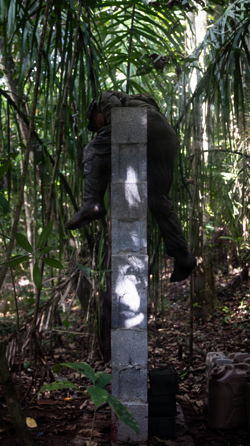 LCF-24: Run Through The Jungle, V32 JOTC-P
