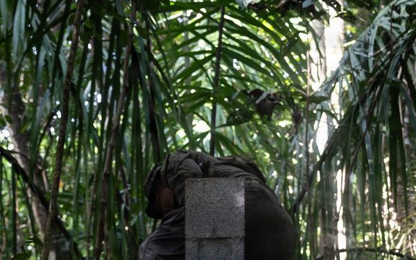 LCF-24: Run Through The Jungle, V32 JOTC-P