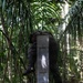 LCF-24: Run Through The Jungle, V32 JOTC-P
