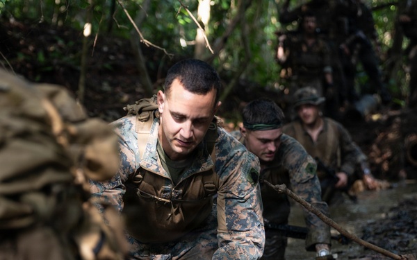 LCF-24: Run Through The Jungle, V32 JOTC-P