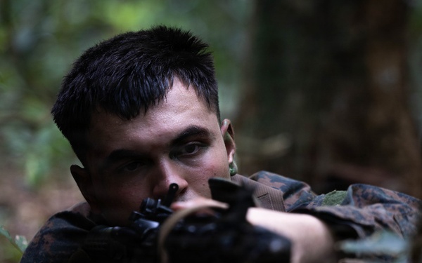 LCF-24: Run Through The Jungle, V32 JOTC-P