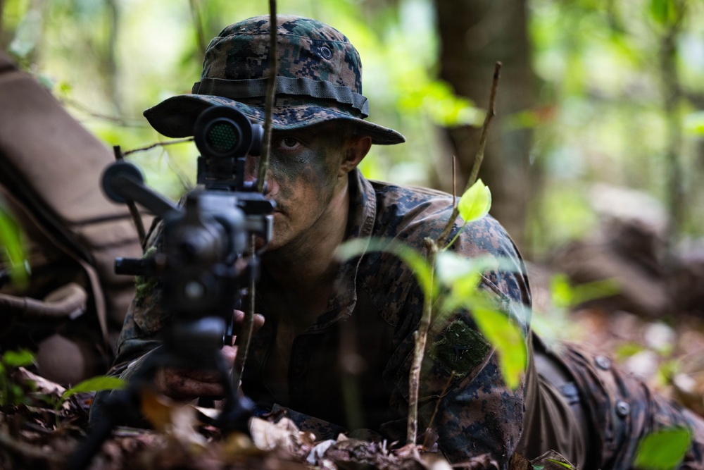 LCF-24: Run Through The Jungle, V32 JOTC-P