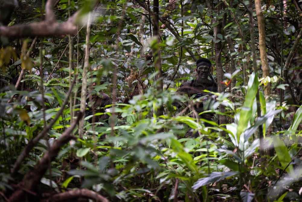 LCF-24: Run Through The Jungle, V32 JOTC-P