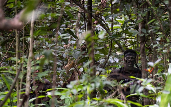 LCF-24: Run Through The Jungle, V32 JOTC-P