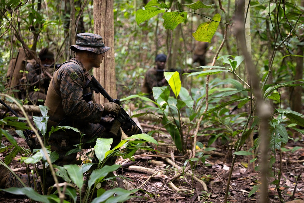 LCF-24: Run Through The Jungle, V32 JOTC-P