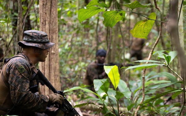 LCF-24: Run Through The Jungle, V32 JOTC-P