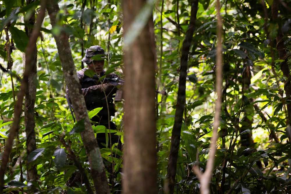 LCF-24: Run Through The Jungle, V32 JOTC-P