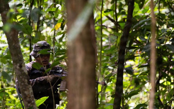 LCF-24: Run Through The Jungle, V32 JOTC-P