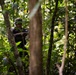 LCF-24: Run Through The Jungle, V32 JOTC-P