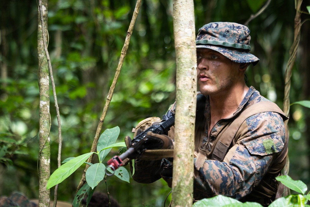 LCF-24: Run Through The Jungle, V32 JOTC-P