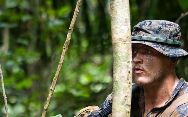LCF-24: Run Through The Jungle, V32 JOTC-P
