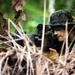 LCF-24: Run Through The Jungle, V32 JOTC-P