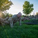 Fort Carson Newcomers PT
