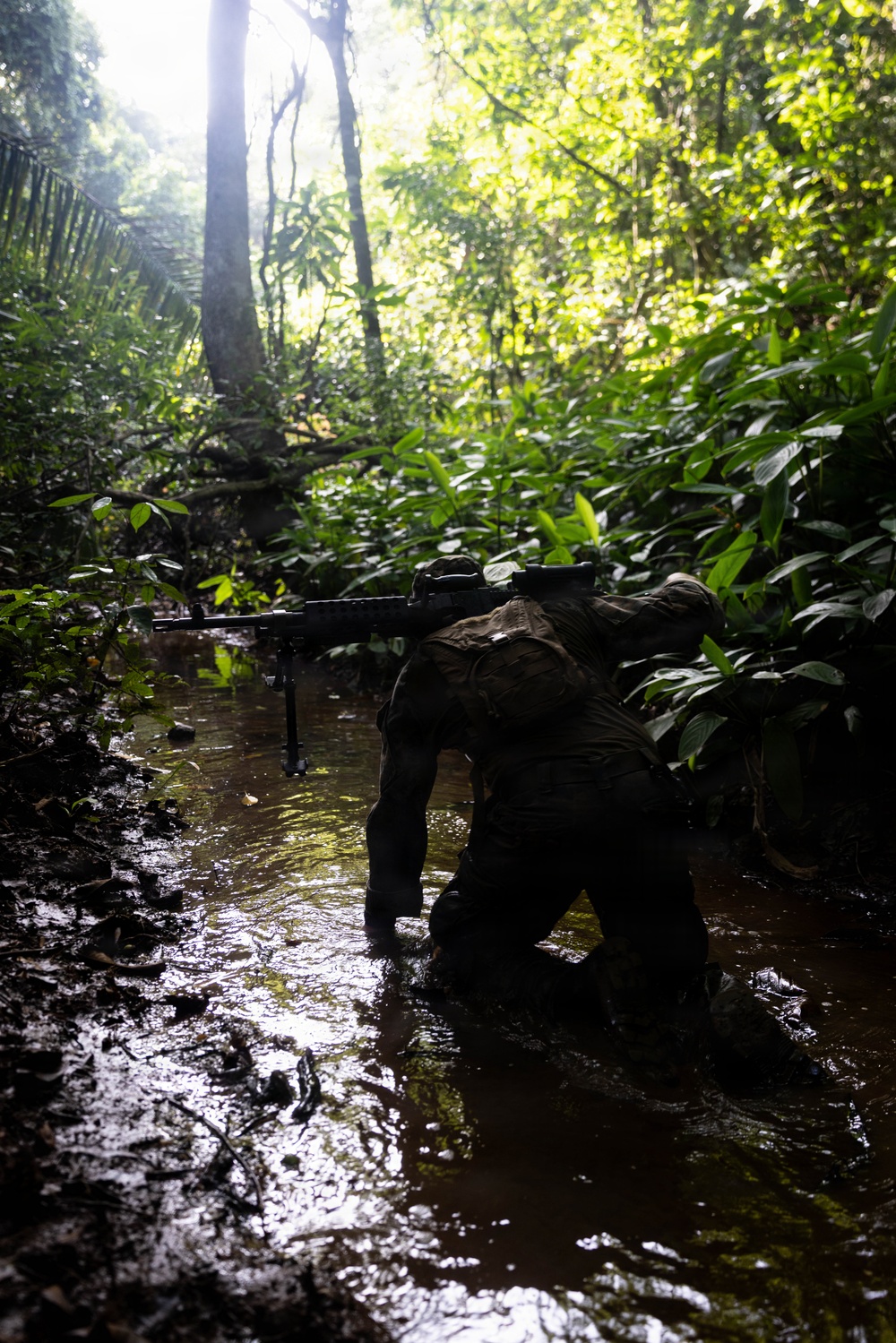 LCF-24: Run Through The Jungle, V32 JOTC-P
