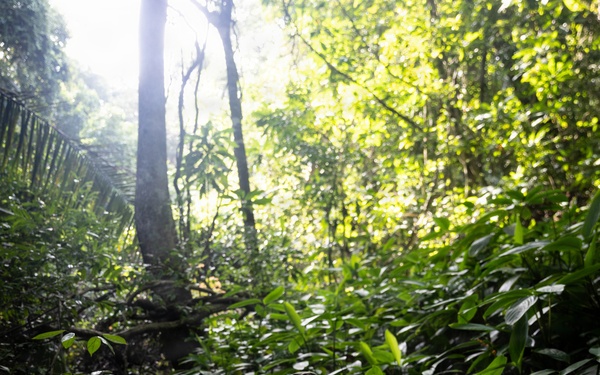 LCF-24: Run Through The Jungle, V32 JOTC-P