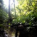 LCF-24: Run Through The Jungle, V32 JOTC-P