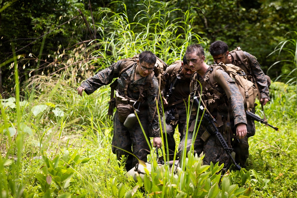 LCF-24: Run Through The Jungle, V32 JOTC-P