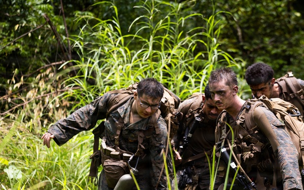 LCF-24: Run Through The Jungle, V32 JOTC-P