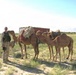 Leadership Profile: Brigadier General Brian Wertzler