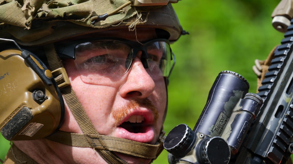 DELAYEN 26: MRF-D, French Armed Forces in French Polynesia conduct bilateral live-fire squad attack drills