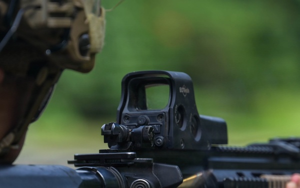 DELAYEN 26: MRF-D, French Armed Forces in French Polynesia conduct bilateral live-fire squad attack drills
