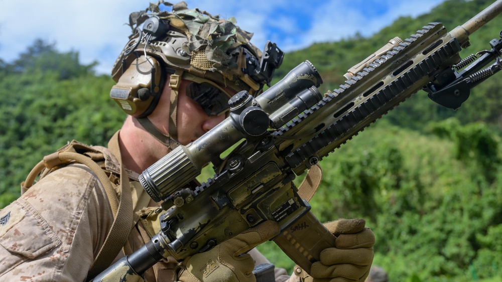 DELAYEN 26: MRF-D, French Armed Forces in French Polynesia conduct bilateral live-fire squad attack drills