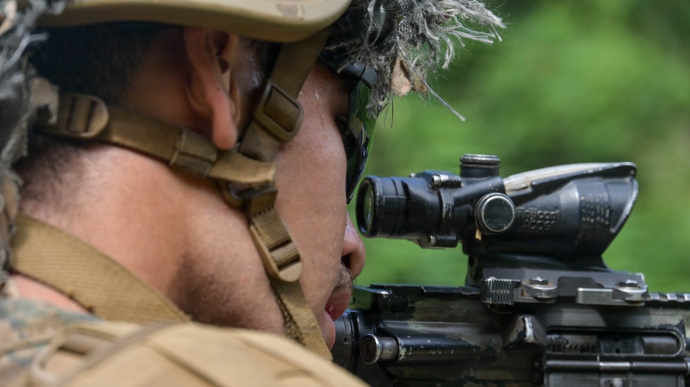 DELAYEN 26: MRF-D, French Armed Forces in French Polynesia conduct bilateral live-fire squad attack drills