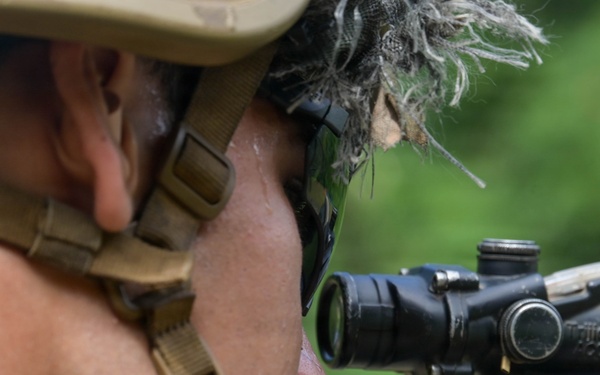 DELAYEN 26: MRF-D, French Armed Forces in French Polynesia conduct bilateral live-fire squad attack drills
