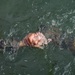 DELAYEN 26: MRF-D Marines conduct amphibious movements in commando course