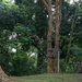 DELAYEN 26: MRF-D Marines participate in obstacle drill for commando course