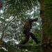 DELAYEN 26: MRF-D Marines participate in obstacle drill for commando course